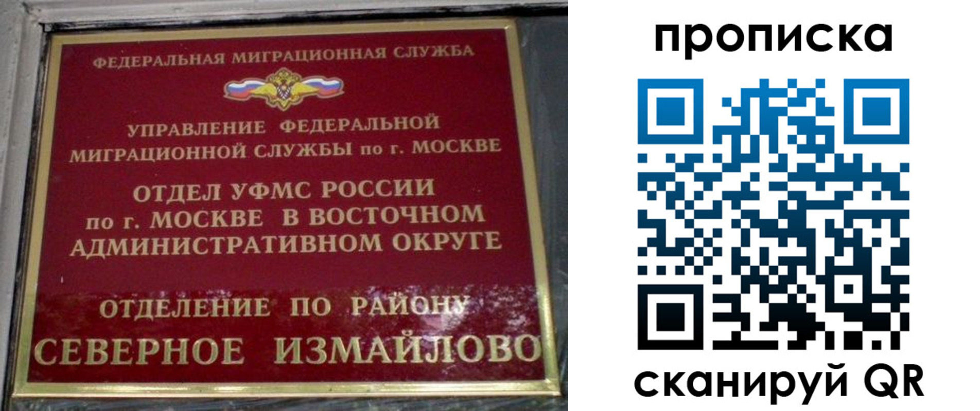 купить прописку в Сольцах