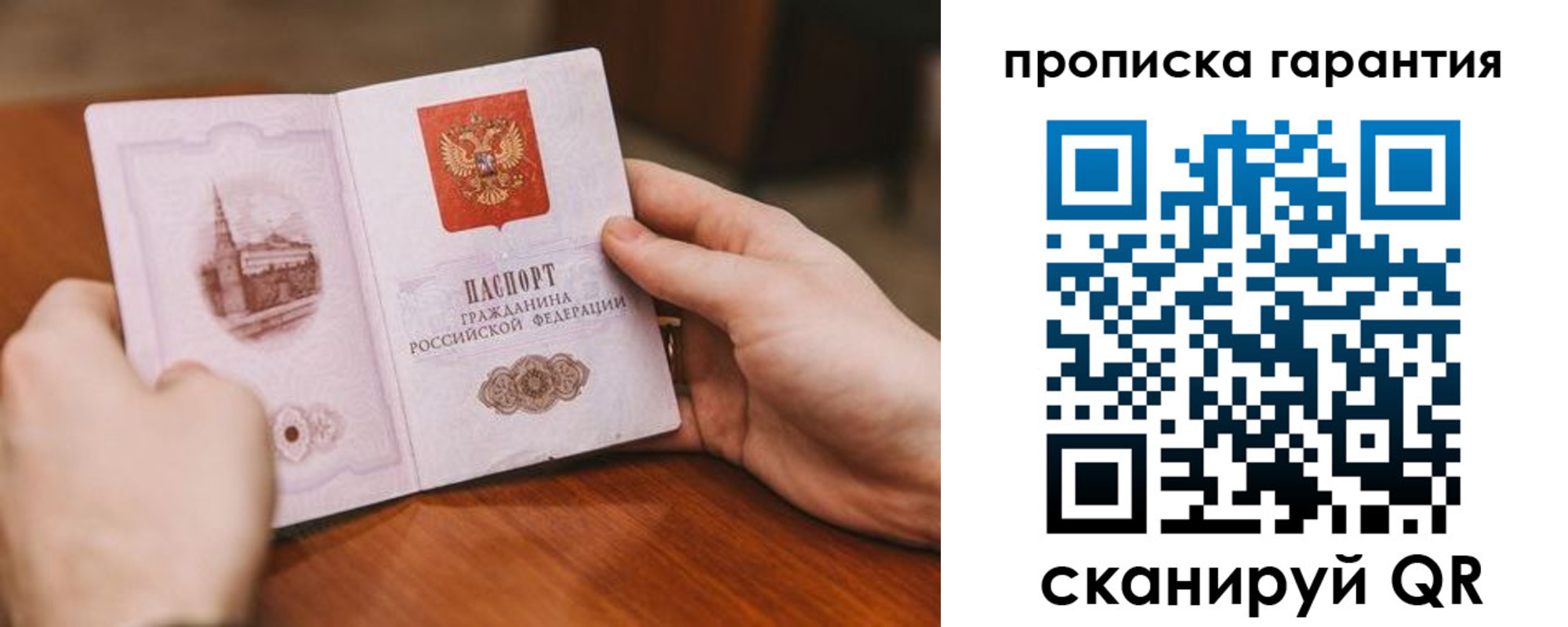 прописка поиск в Сольцах