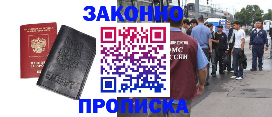 прописка поиск в Сольцах